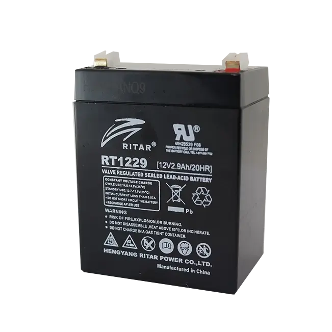 RT1229
