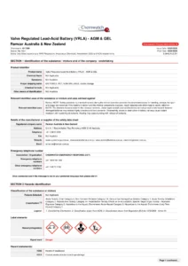 Valve Regulated Lead-Acid Battery SDS
